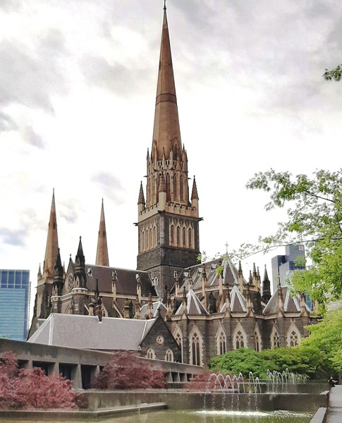 live stream mass st patrick%27 s cathedral melbourne
