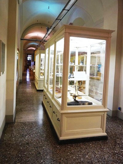 Museum of Natural History – Geology and Paleontology Section (Florence ...