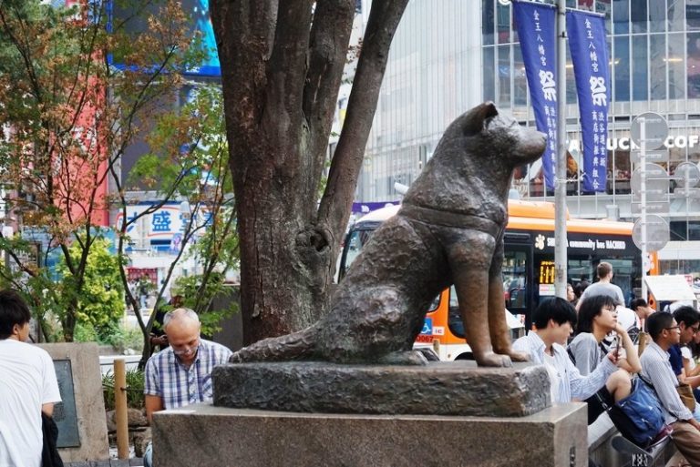 Hachiko Memorial Statue (Tokyo, Japan) – B.L.A.S.T. – Live Life to the ...